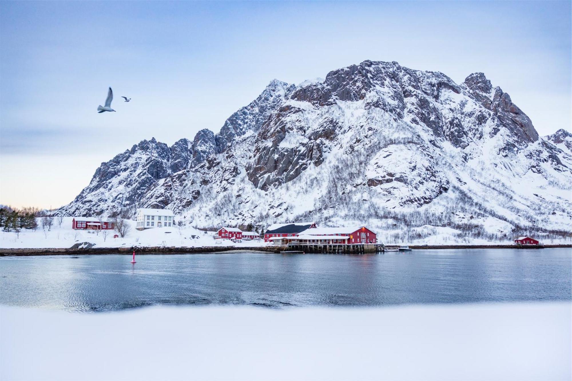 Kalle I Lofoten Кабельвог Экстерьер фото